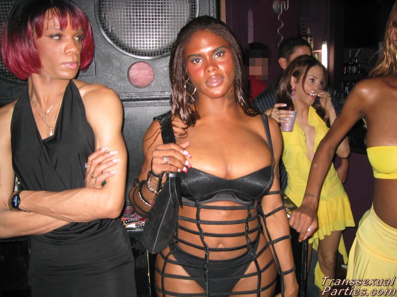 https://www.transsexualparties.com/images/TSP_0645.jpg