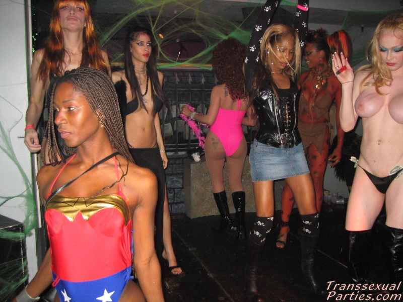 https://www.transsexualparties.com/images/TSP_0781.jpg